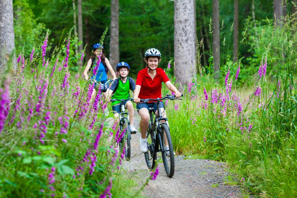 48622917 - healthy lifestyle - family biking